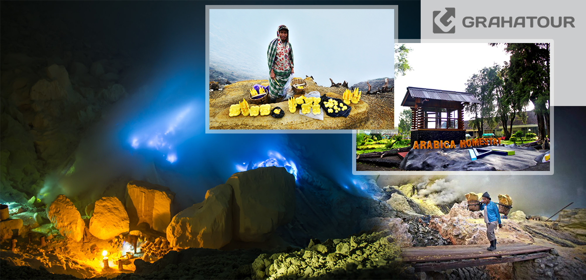 Bromo Ijen Baluran 2