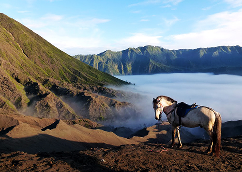 Bromo Sunrise